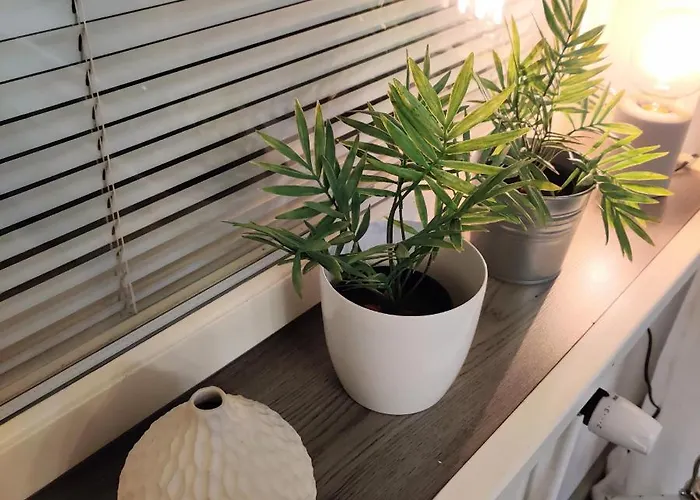 Kodikas Kaksio Keskustassa Apartman *